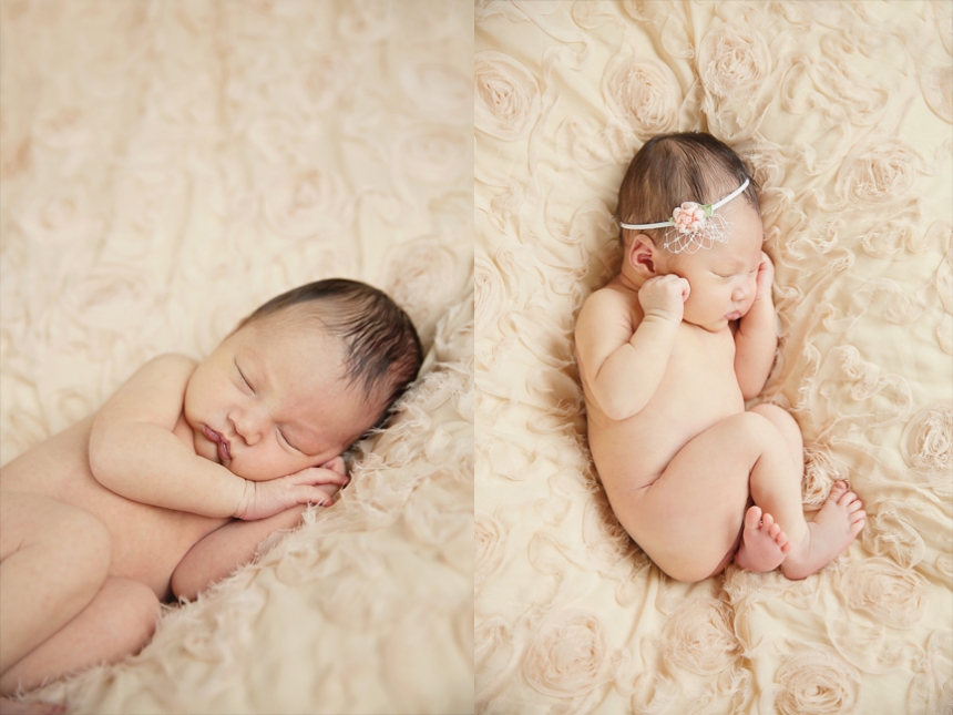 seattle newborn photographer