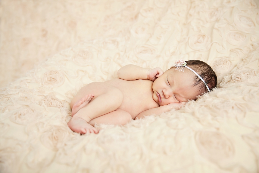 seattle newborn photographer