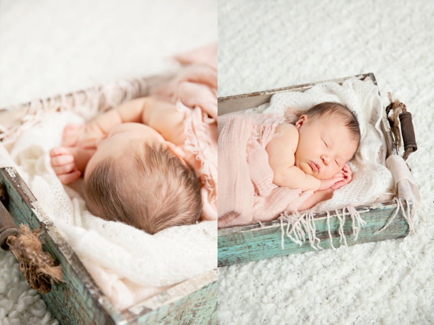 olympia newborn baby photographer