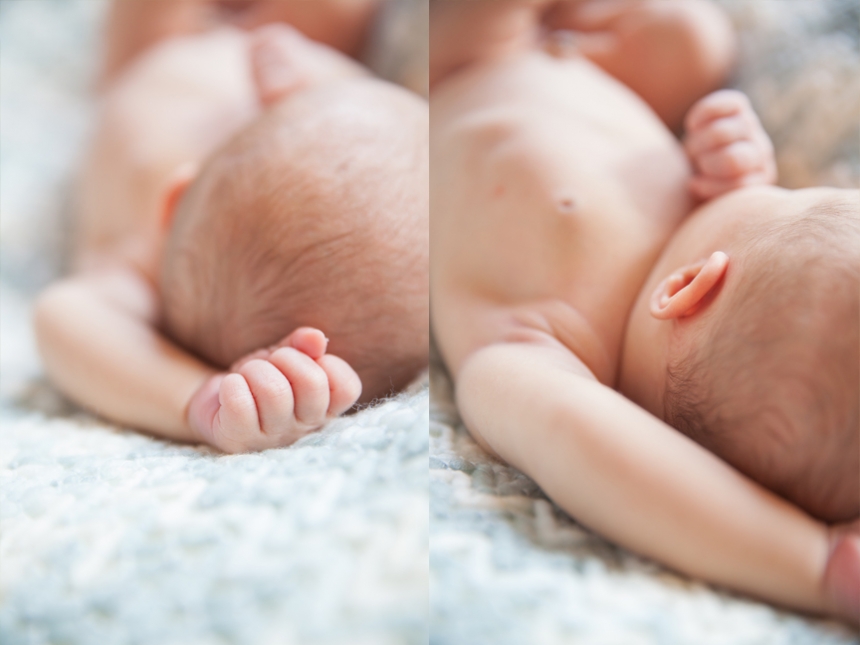 olympia newborn baby photographer