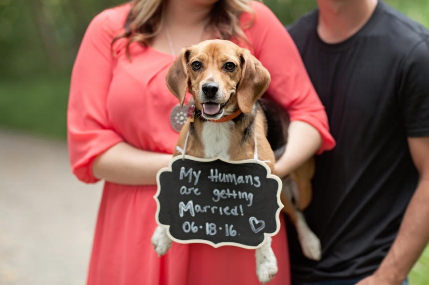 snohomish engagement photographer