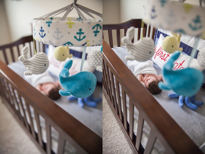 olympia newborn photographer