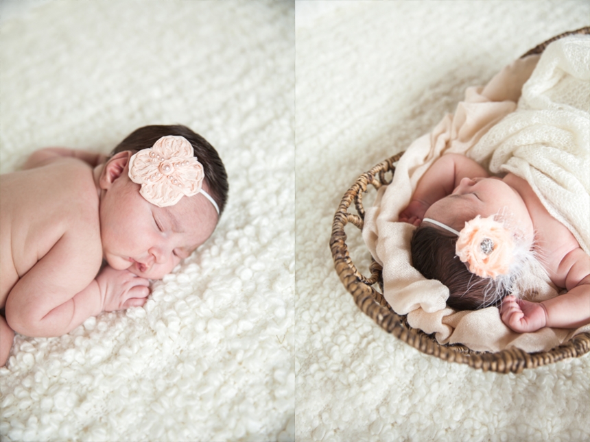 chehalis newborn photographer