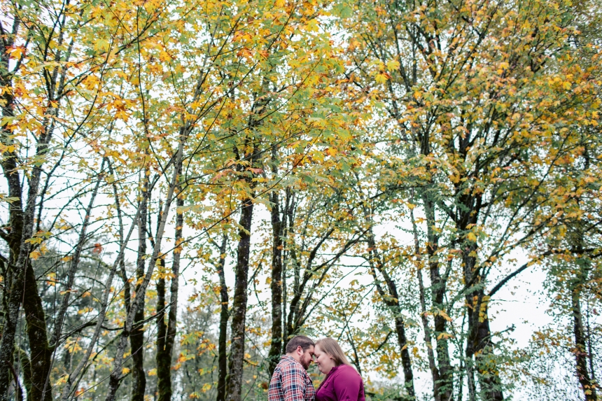 woodinville engagement photographer