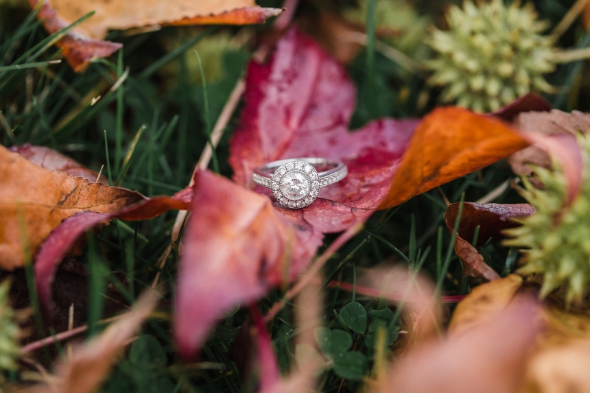 olympia engagement photographer