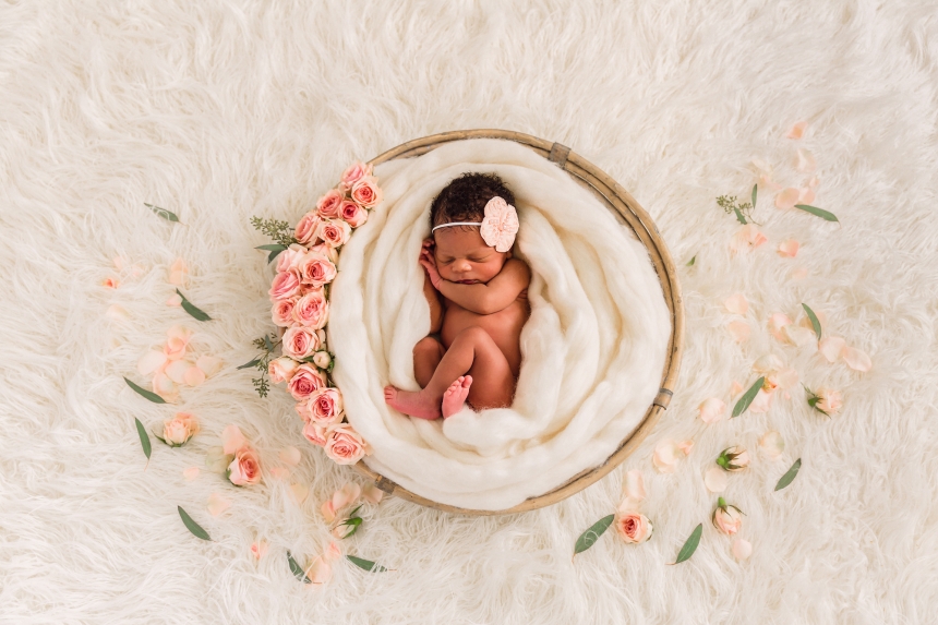 seattle newborn photographer