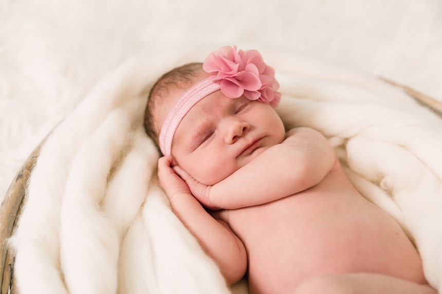 everett newborn baby photographer