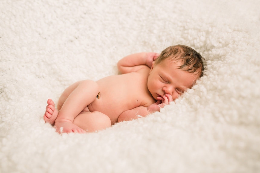 olympia newborn baby photographer