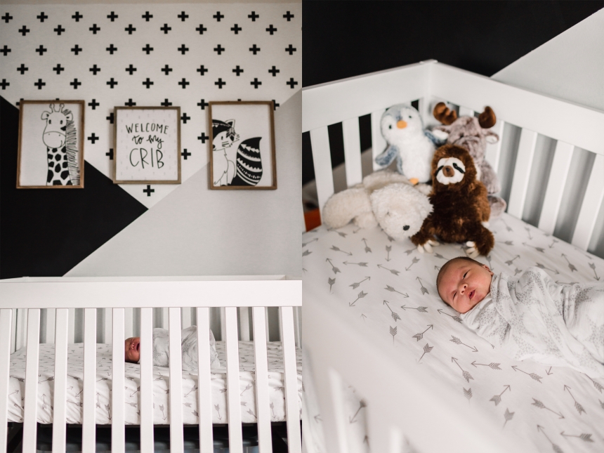 seattle newborn baby photographer