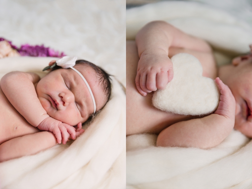 olympia newborn baby photographer