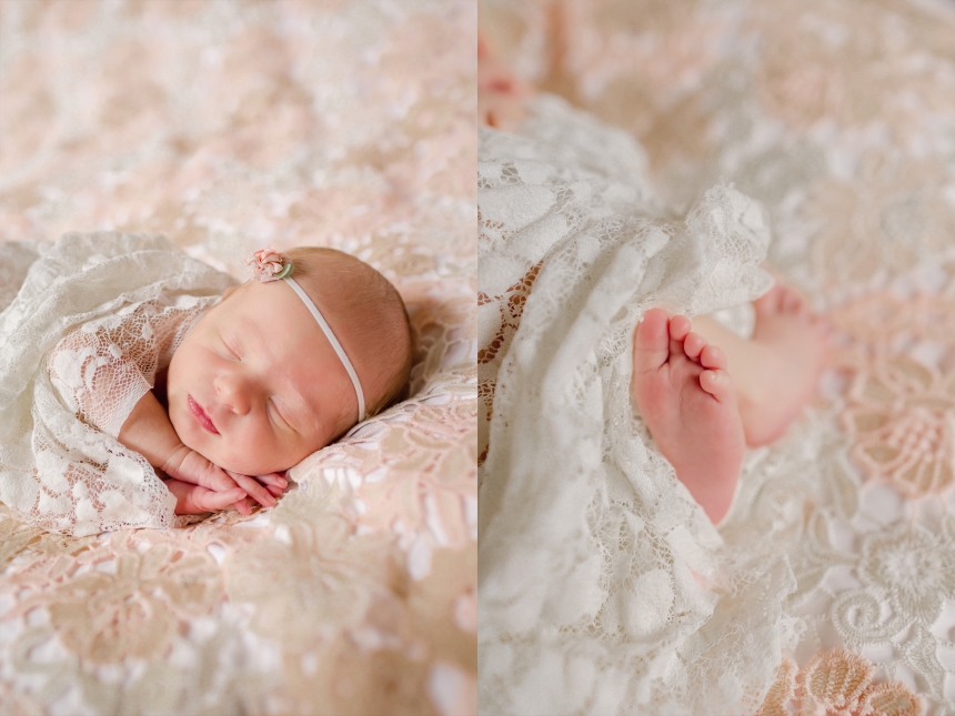 olympia newborn baby photographer