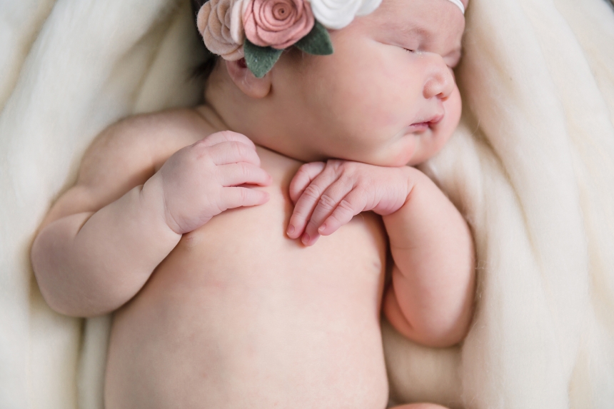 olympia newborn baby photographer