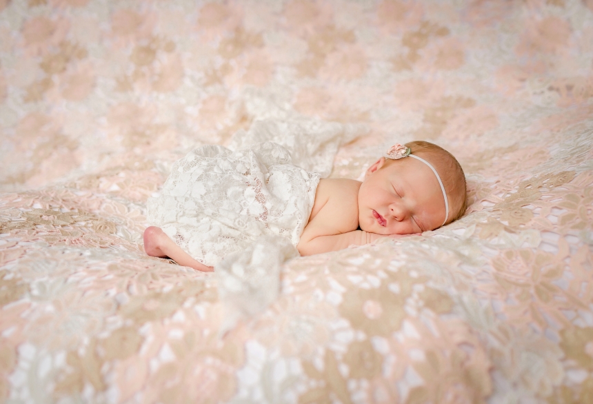 olympia newborn baby photographer