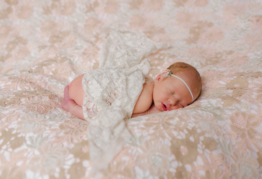 olympia newborn baby photographer