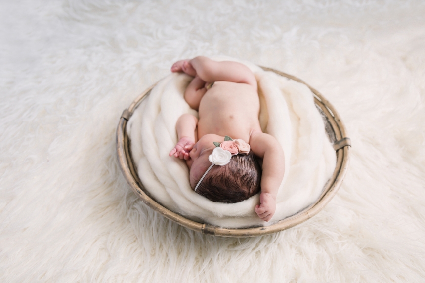 olympia newborn baby photographer