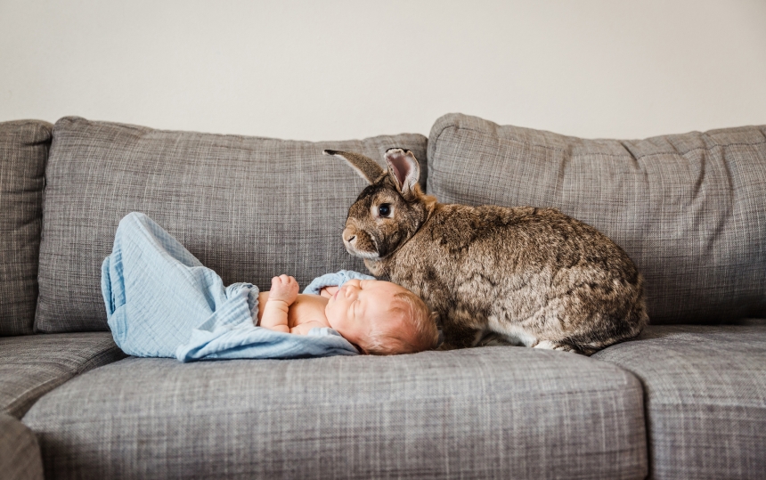 seattle newborn baby photographer