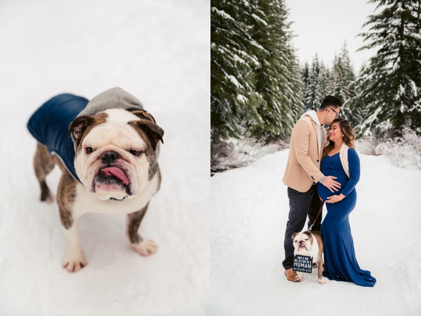 seattle maternity photographer