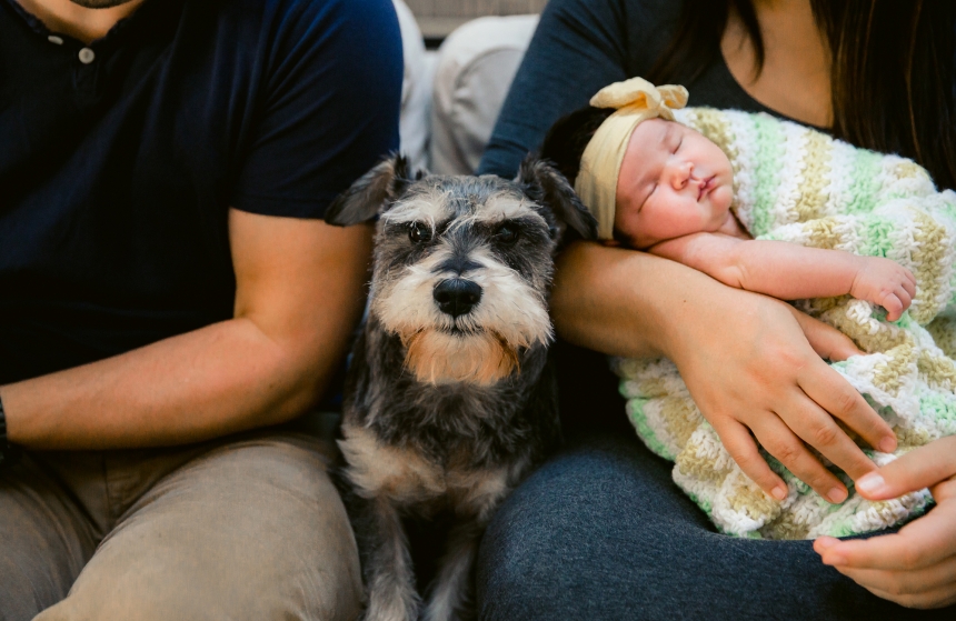 olympia newborn baby photographer