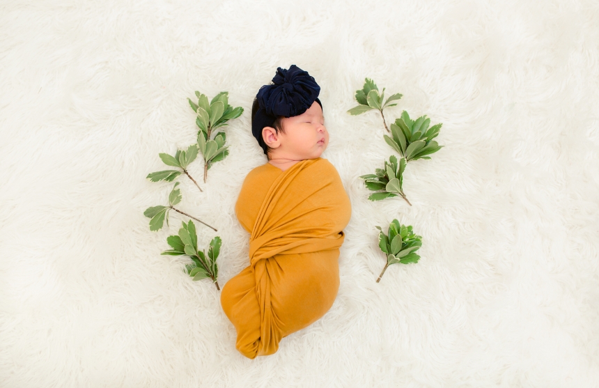 olympia newborn baby photographer