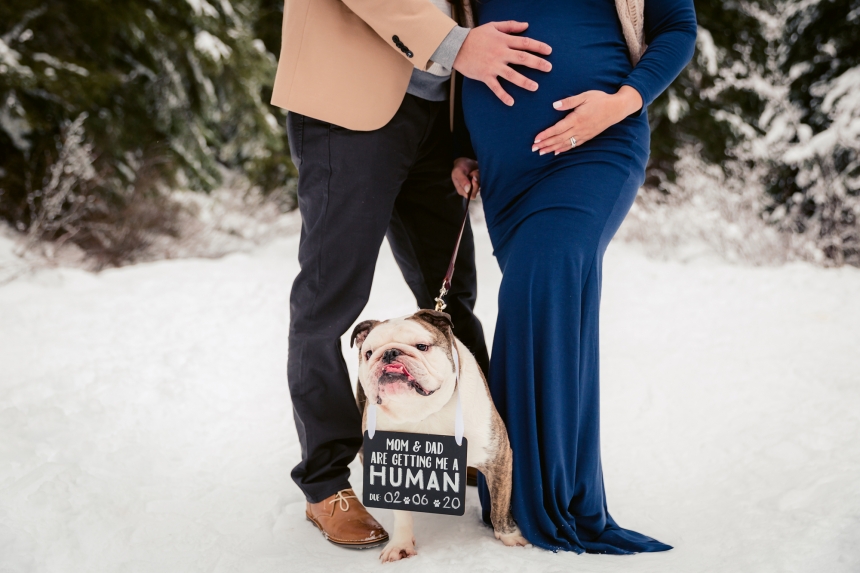 seattle maternity photographer