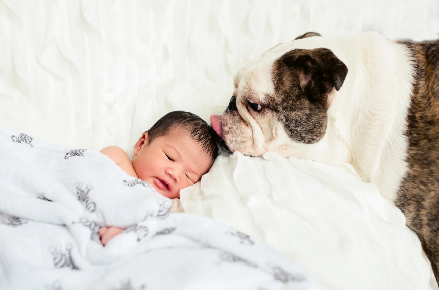 everett newborn photographer