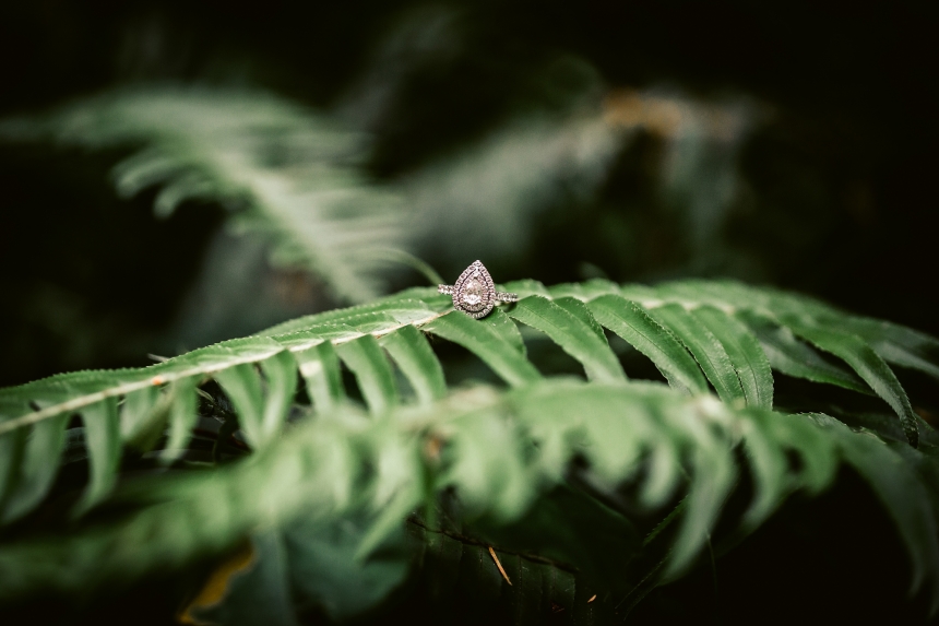 olympia engagement photographer