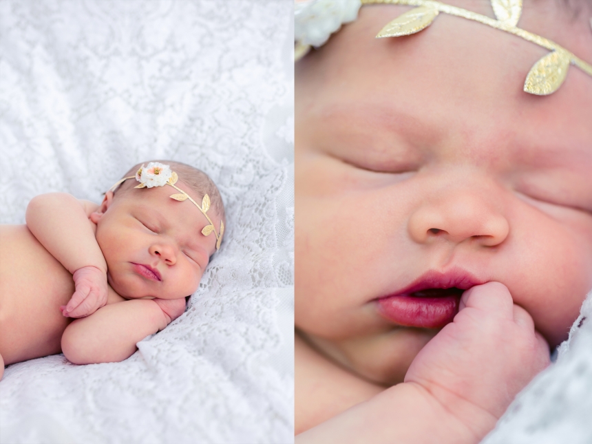 olympia newborn baby photographer