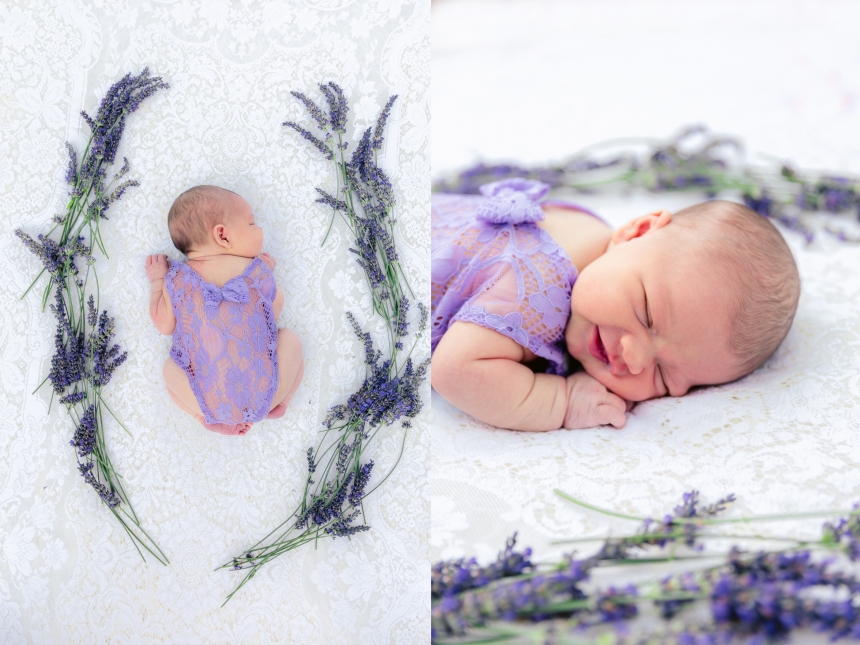 olympia newborn baby photographer