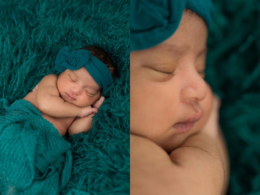 olympia newborn baby photographer