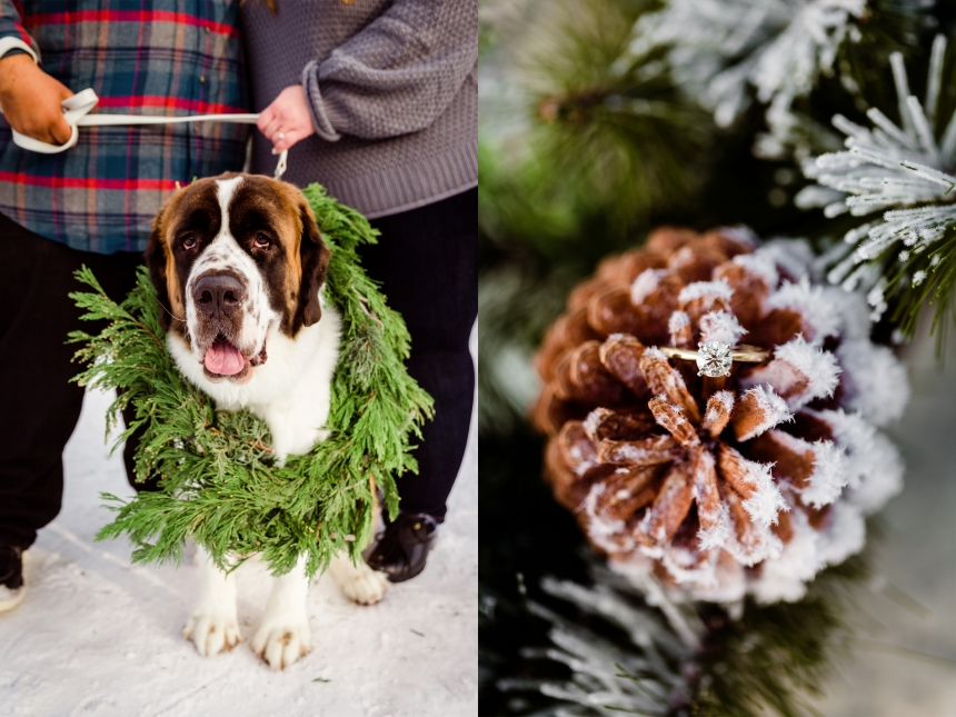 snoqualmie pass photographer engagement