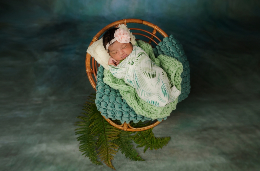 olympia newborn baby photographer